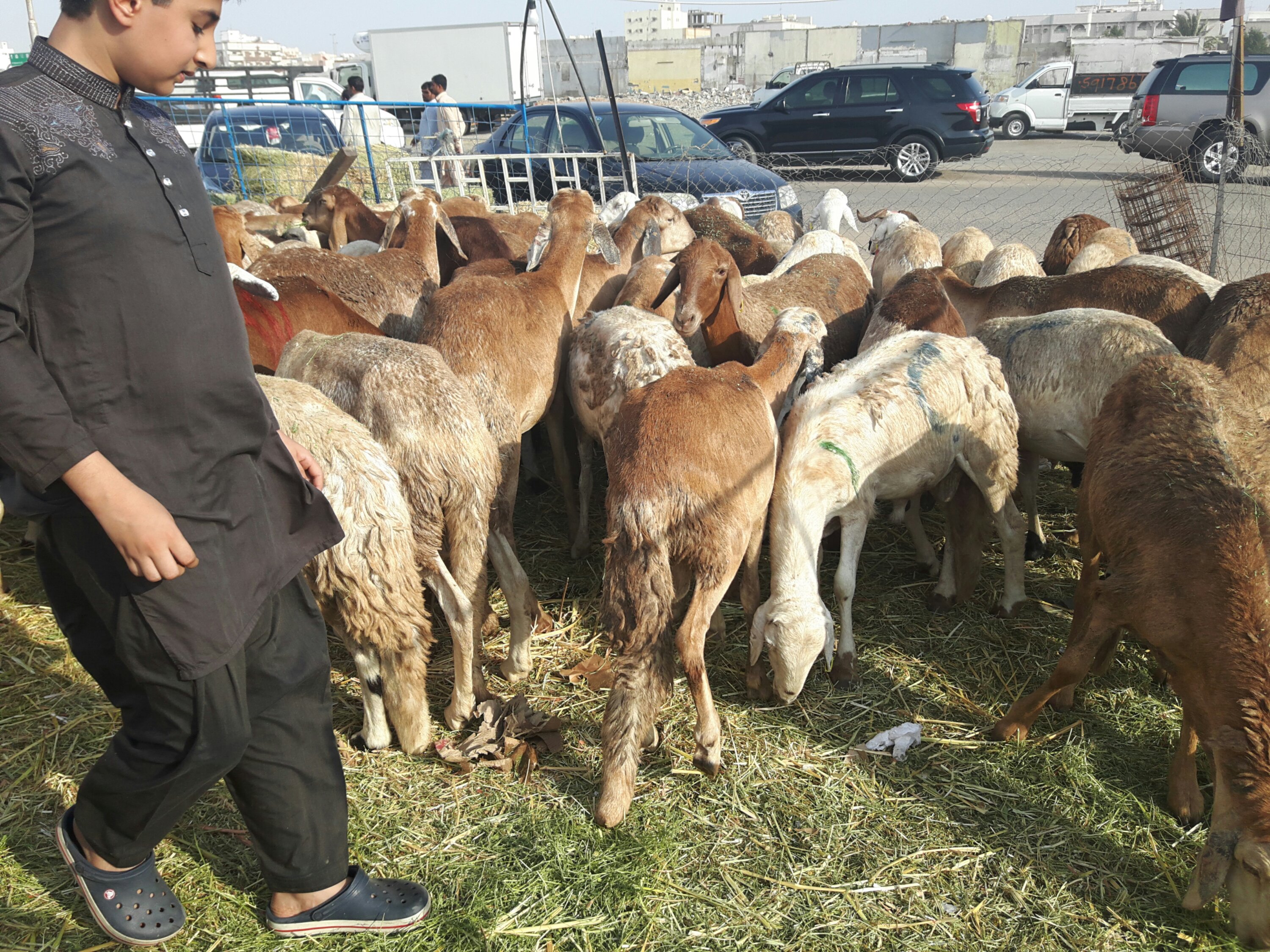 Hajj 2017 in Pictures